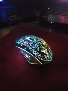 RGB MOUSE DSFY-11