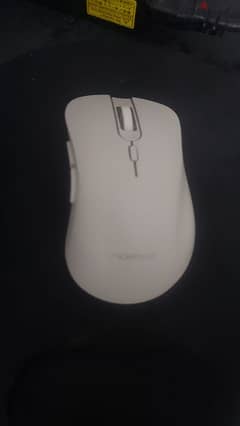 mouse