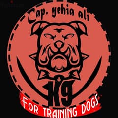 K9 For Training Dogs