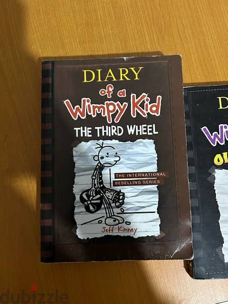 Diary of a wimpy kid book 2