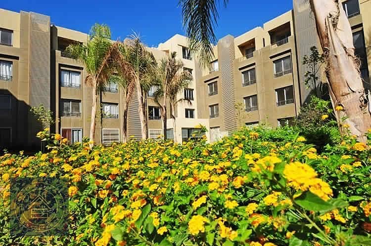 2BR Resale Fully Finished Apartment at Palm Parks Palm Hills , 10 Minutes from Sheikh Zayed 4