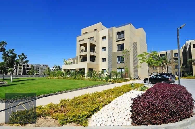 2BR Resale Fully Finished Apartment at Palm Parks Palm Hills , 10 Minutes from Sheikh Zayed 5