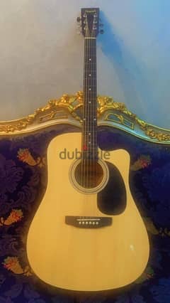 acoustic guitar