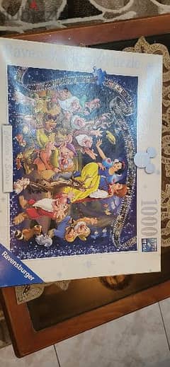 Puzzle 1000 pieces