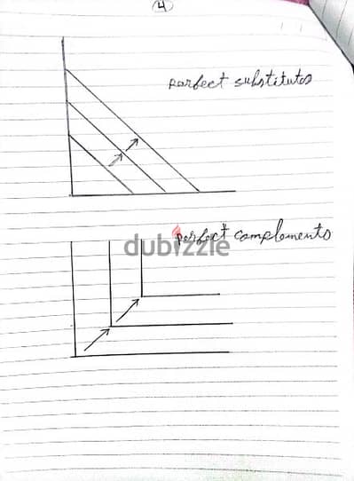 مدرس اقتصاد للجامعات و الدراسات العليا باللغتين العربية والانجليزية