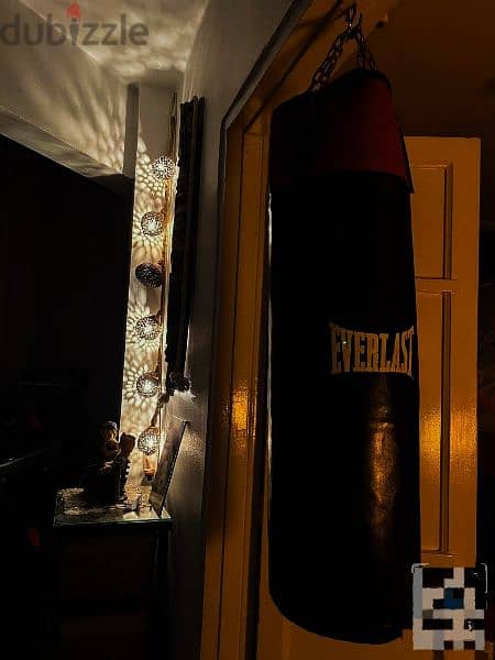 EVERLAST SANDBAG 0