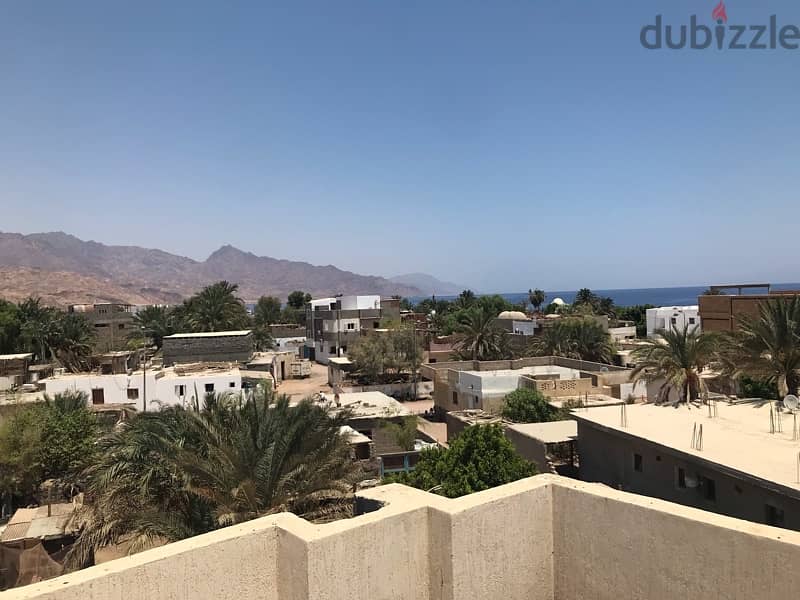 apartment for rent in Dahab 7