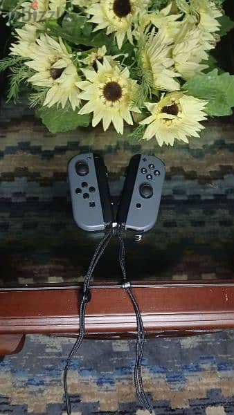 Nintendo accessories 3