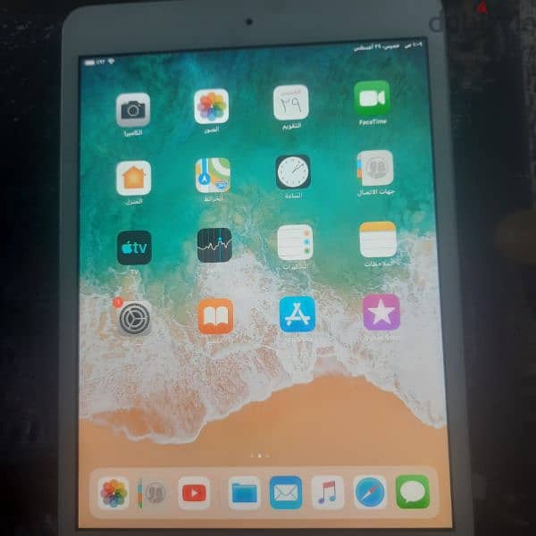 iPad mini 2 4