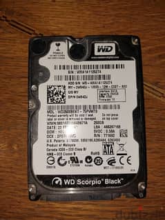 250gb WD Scorpio Black Hard Disk - هارد ٢٥٠جيجا 0