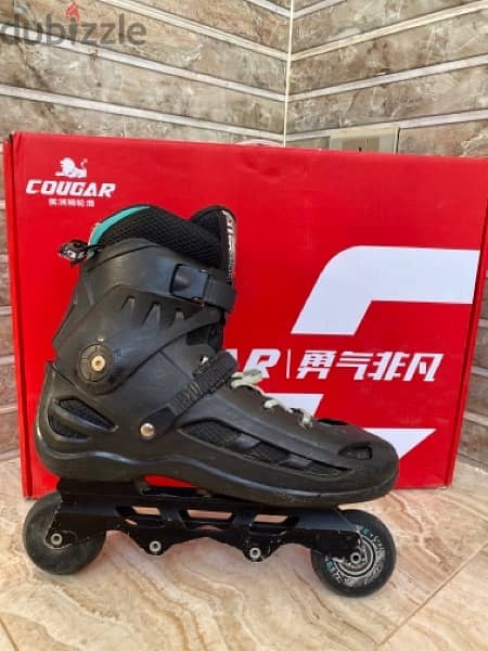 skate cougar 509 2