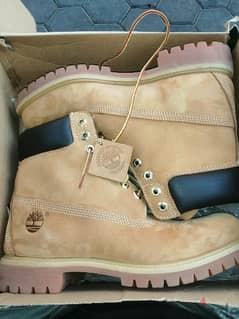 Timberland