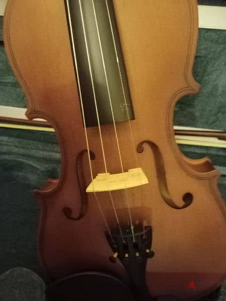 violin shlater New 1