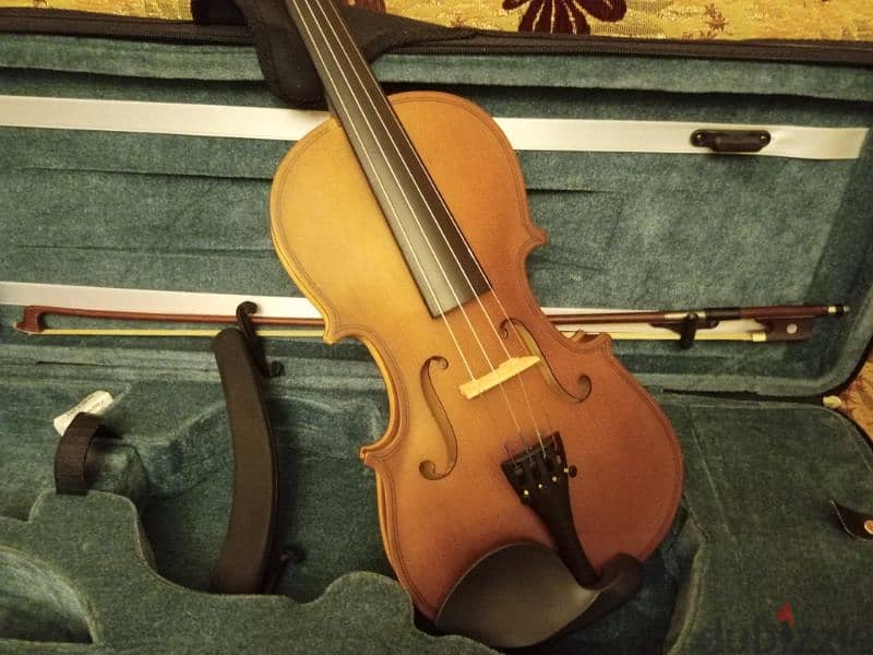 violin shlater New 5