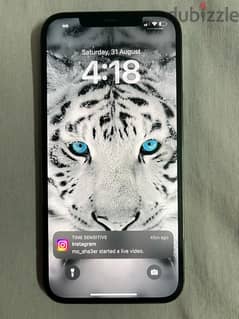 iphone 12 pro max ايفون ١٢ برو ماكس