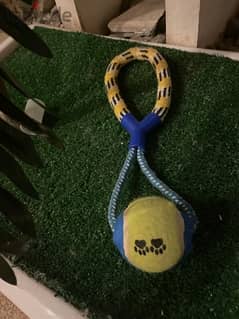 Dog toy