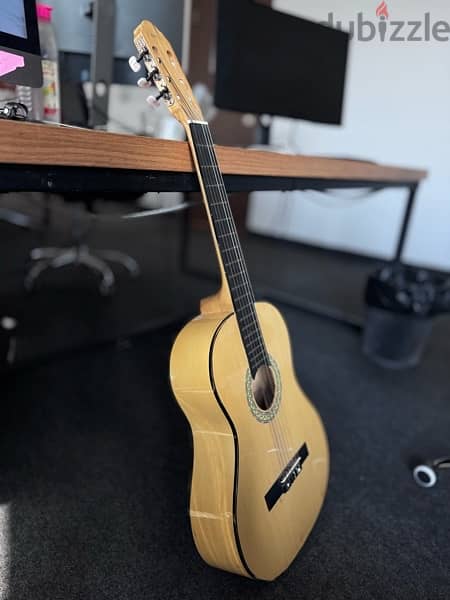 Fitness Guitar With Bag - burley used 6