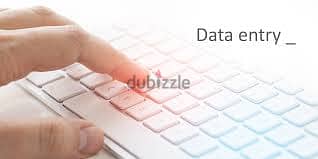 Data entry تقديم خدمة للشركات والافراد