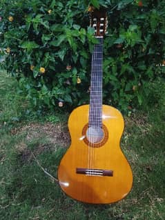 Guitar Yamaha C40