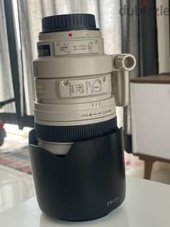 canon 100/400