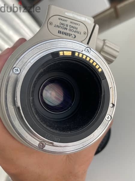 canon 100/400 1