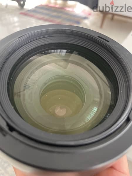 canon 100/400 2