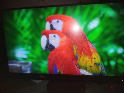 شاشة جيمنج بحالة كويسة lenovo legion y25-25 240hz ips panel