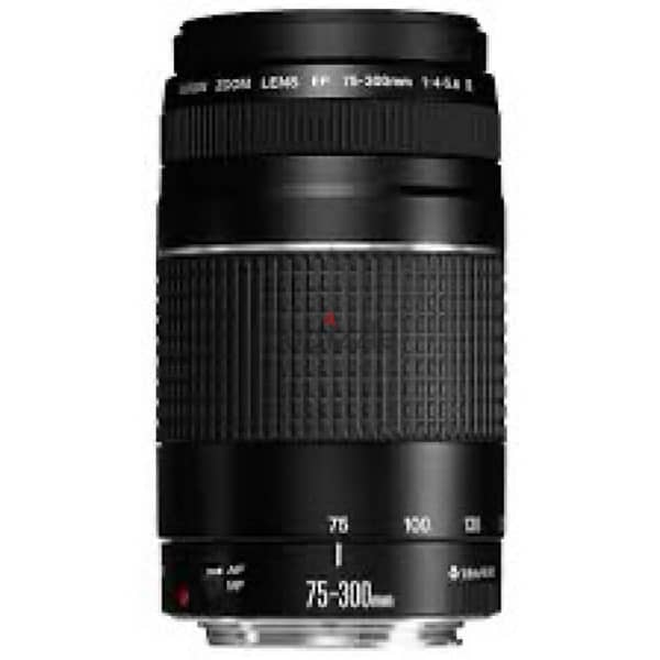 lens canon 75-300 لينس عدسه كانون 1