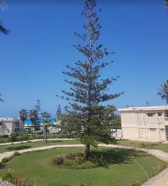 Marbella شاليه بقرية ماربيلا