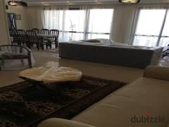 apartment 190m fully furnished for rent eastown sodic