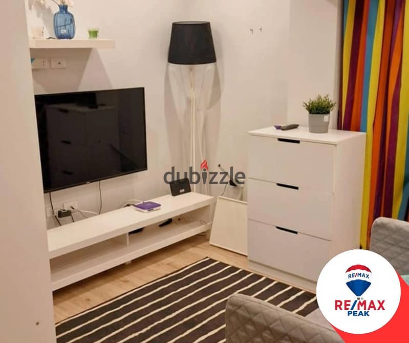 Zayed Regency Compound  Penthouse For Rent  235m 10