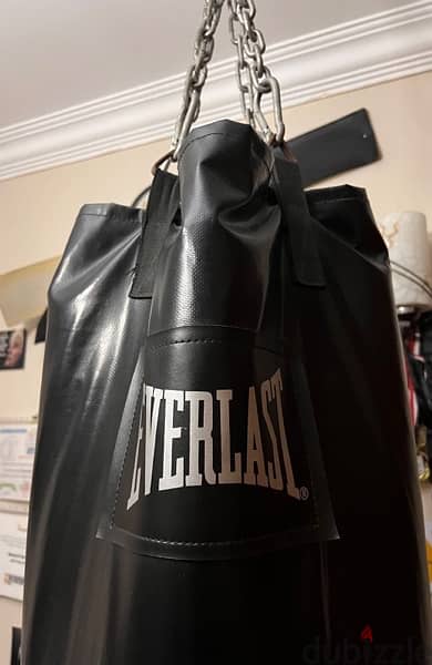 sandbag everlast 1