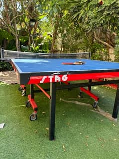 ping pong table