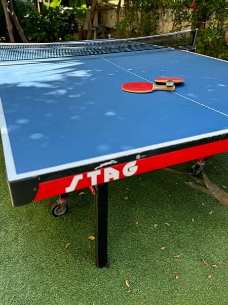 ping pong table 1