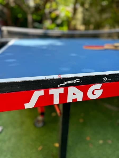 ping pong table 4