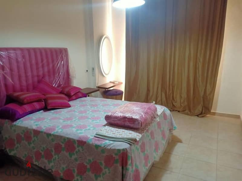 Furnished duplex in Nakheel Compound 17