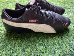 puma cat 37.5