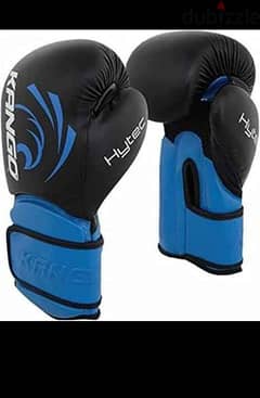 boxing gloves (not used)