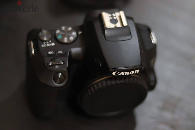 Canon 250d 4