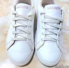 lacost shoes