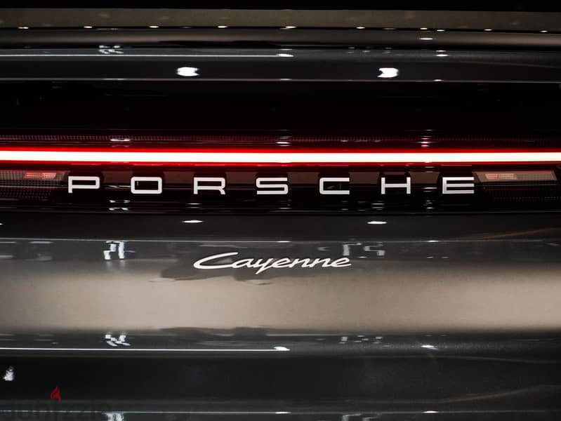 Porsche Cayenne Coupe 2024 18