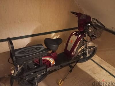 EB cargo . . E bike عجله كهربائيه