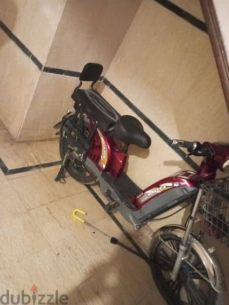 EB cargo . . E bike عجله كهربائيه 1