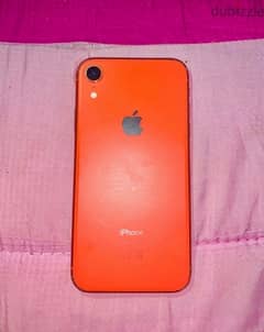 iphone  xr