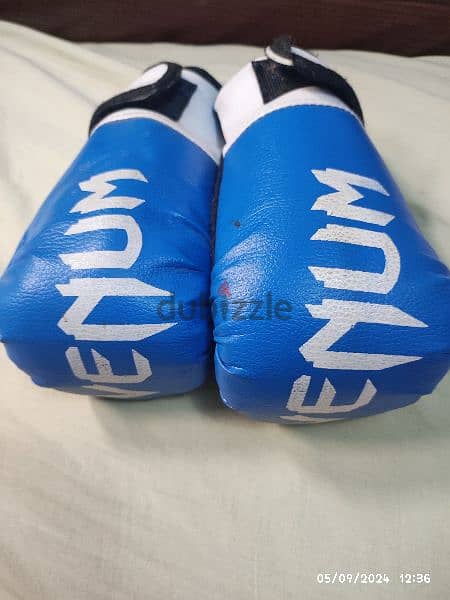 boxing gloves 2