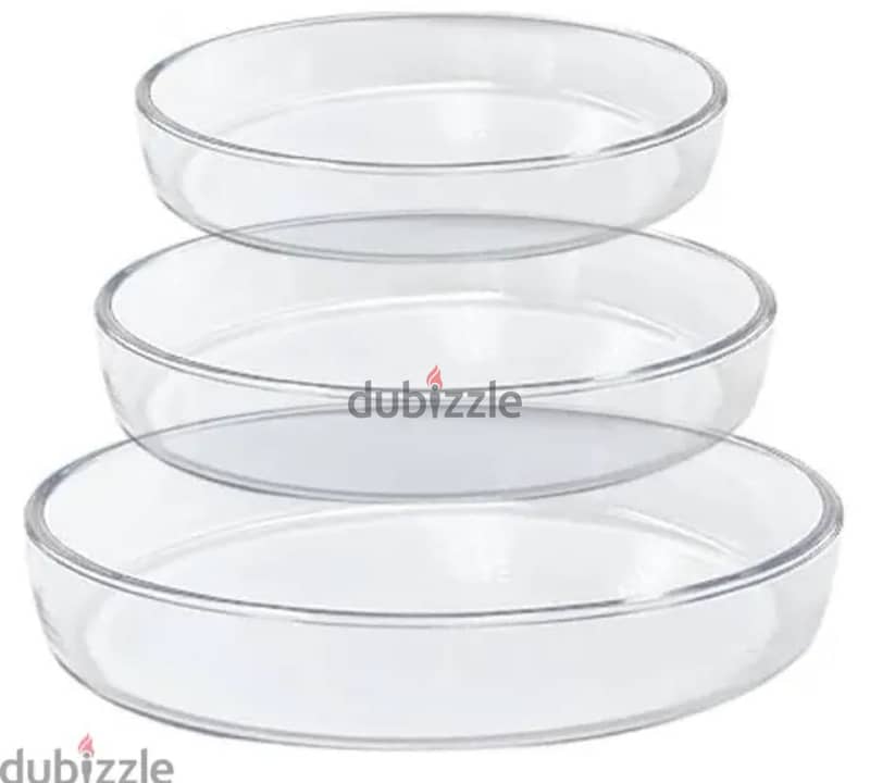 Pyrex Oval Set 1