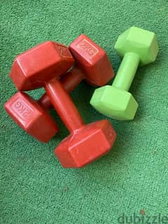 two dumbbells 2kg - one 1 kg