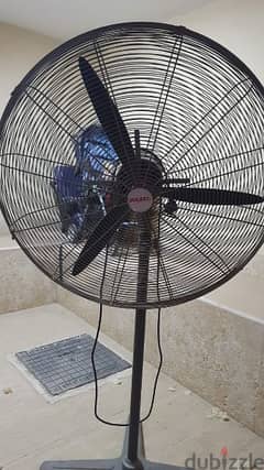 Garden fan