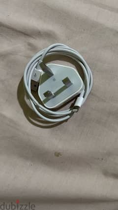 iPhone charger (adapter + cable)