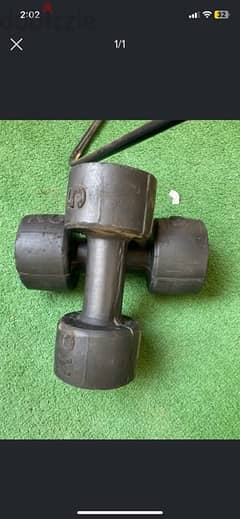 two dumbbells 5kg